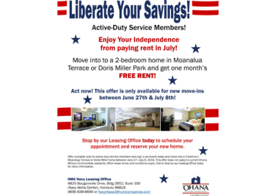 Flyer – Liberate Your Savings